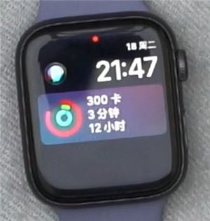 Apple Watch Series 5θ̷
