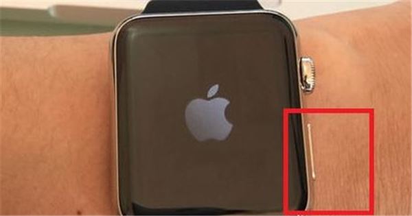 Apple Watch Series 5ô/رʡģʽ Series5ʡģʽ̳