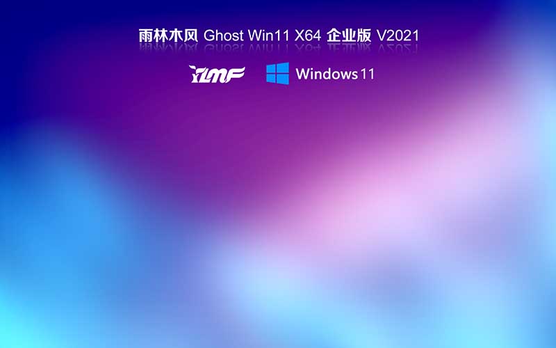 ľwin11ϵͳ Ghost windows11 64λ רҵϵͳ V2021.10