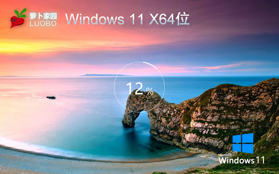 windows11 ܲ԰win11רҵ X64λ V2022.07