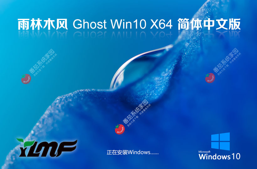 ľx64λ Windows10 ghost ʼǱר