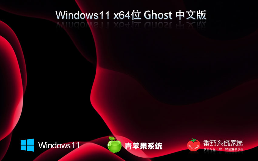win11 23H2רҵ ƻϵͳ x64λ ghost ISO