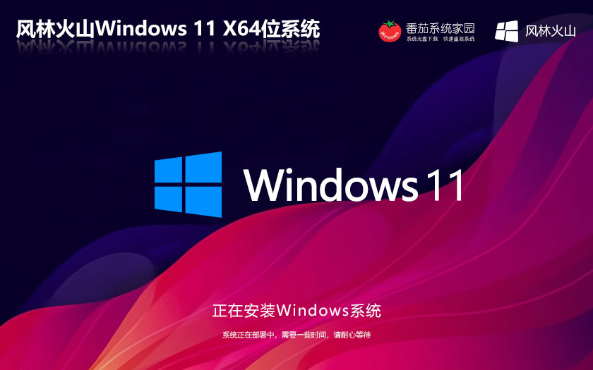 ֻɽ64λˬ Windows11  