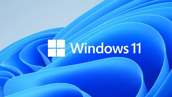 Windows 11 Insider Preview Dev汾£޸